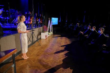 Dan samostojnosti Krško 027